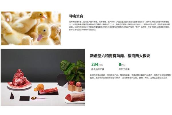 28岁生肖鸡命运解析:迷雾中的希望与挑战 28岁生肖鸡命运解析:迷雾中的希望与挑战