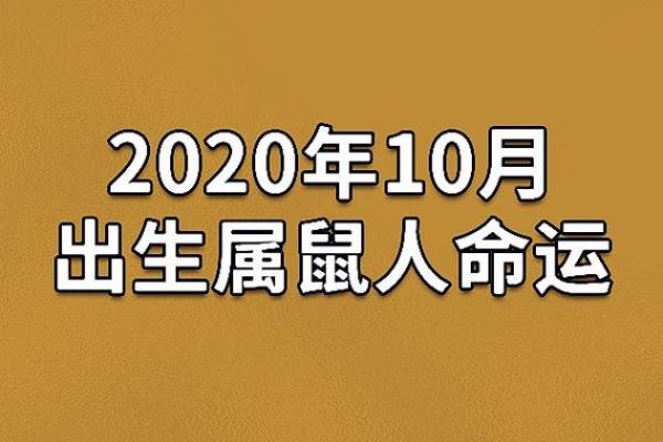 1096年属鼠命运解析：探索鼠年的不同命格与人生轨迹