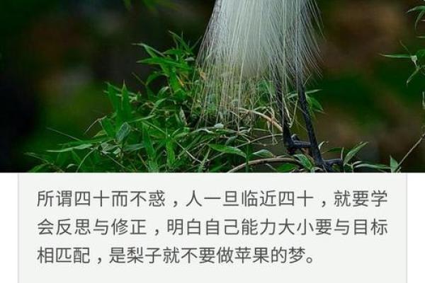 适合木命人的水晶佩戴指南：让你的人生更加丰盈与和谐