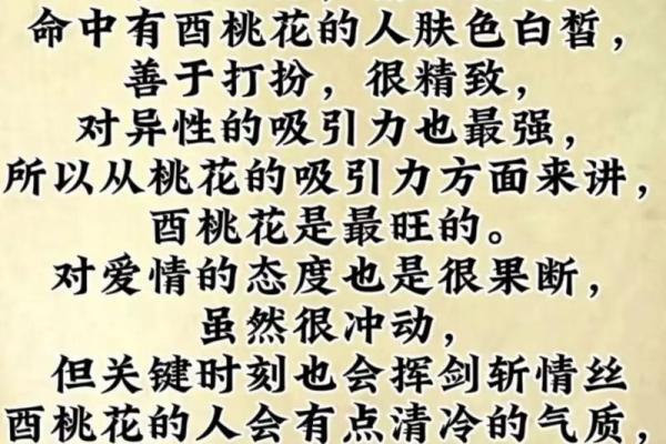 金命的喜好与相克：探寻生命中的平衡与和谐