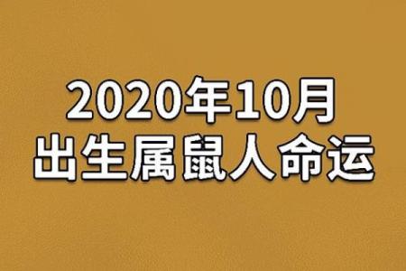 1096年属鼠命运解析：探索鼠年的不同命格与人生轨迹