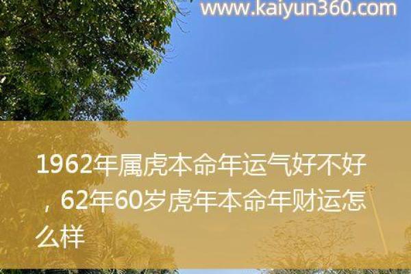 属虎木命人的命理解读与幸福人生的启示