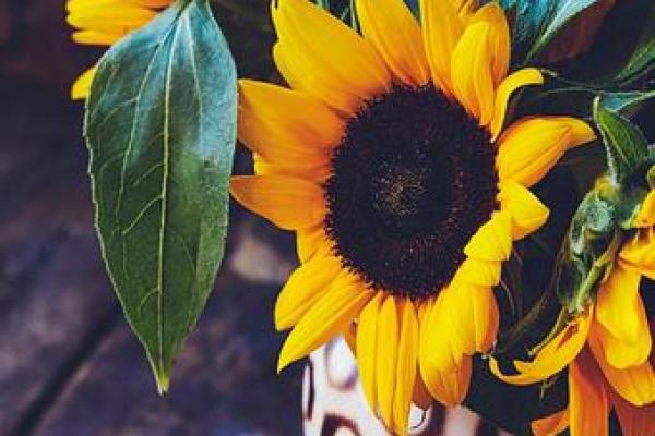 命格与身材的完美匹配,找到自己的理想形态! 命格与身材的完美匹配,找到自己的理想形态!