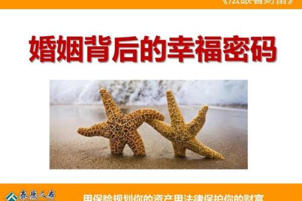 双儿双女命最优解：探索幸福与财富的双重之道