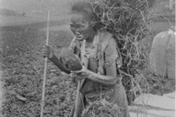 1926年属什么命?揭开命运背后的神秘面纱 1926年属什么命?揭开命运背后的神秘面纱