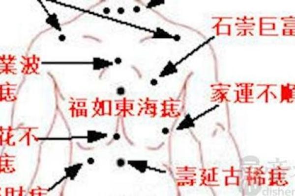 1997年出生的狮子女:独特性格与命运解析 1997年出生的狮子女:独特性格与命运解析