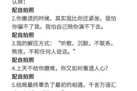 不信命但认命：生活中的智慧与从容