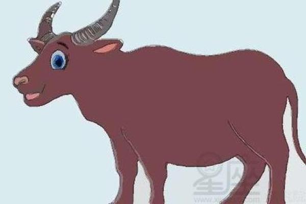 探索1973年属牛的命理特征与人生智慧 探索1973年属牛的命理特征与人生智慧