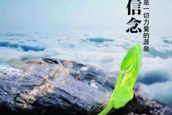 2013年出生的人命运解析:他们与众不同的生活之道 2013年出生的人命运解析:他们与众不同的生活之道