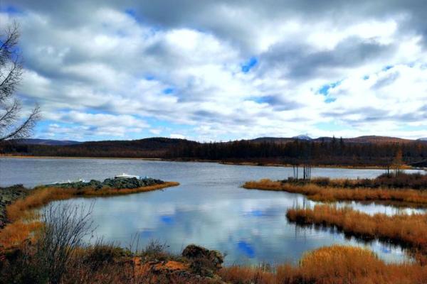 探索野丫头山货的魅力与价值,发现大自然的馈赠与人心的温暖 探索野丫头山货的魅力与价值,发现大自然的馈赠与人心的温暖