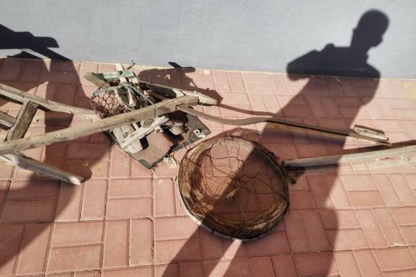 白蜡金命与数字的神秘关系:找到你的幸运数字! 白蜡金命与数字的神秘关系:找到你的幸运数字!