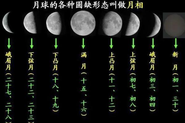 2019年阴历属相及命理解析:探索你的命运密码 2019年阴历属相及命理解析:探索你的命运密码