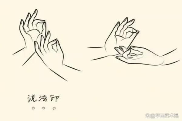 掌纹明显的人命运分析：揭秘你掌心的秘密与人生轨迹