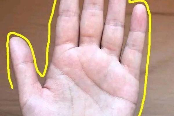 命局分析:木命人缺什么?探寻命运中的平衡与和谐! 命局分析:木命人缺什么?探寻命运中的平衡与和谐!