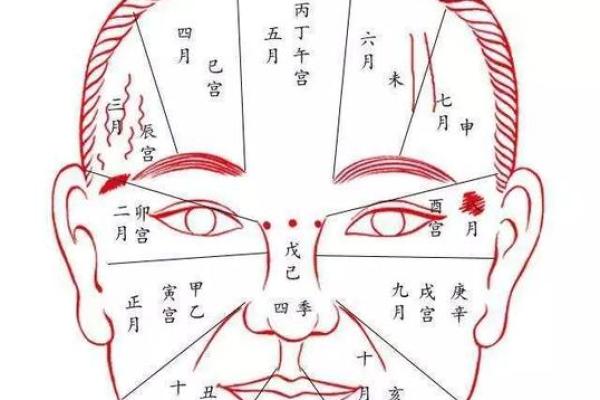 探秘额骨塌陷:背后的原因与命运走向分析 探秘额骨塌陷:背后的原因与命运走向分析