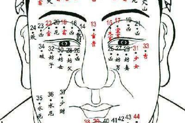 1980年出生的三元命理:揭秘你的命运之旅 1980年出生的三元命理:揭秘你的命运之旅