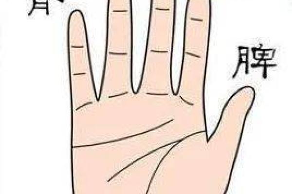 短手指的秘密:大拇指短的人命运解析与生活智慧 短手指的秘密:大拇指短的人命运解析与生活智慧