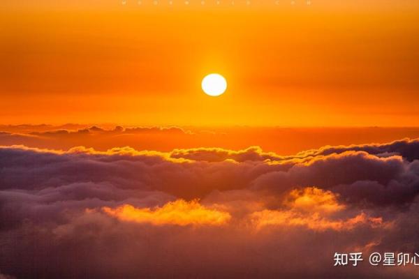 探秘丙丁火命局:热情和智慧交织的人生之旅 探秘丙丁火命局:热情和智慧交织的人生之旅