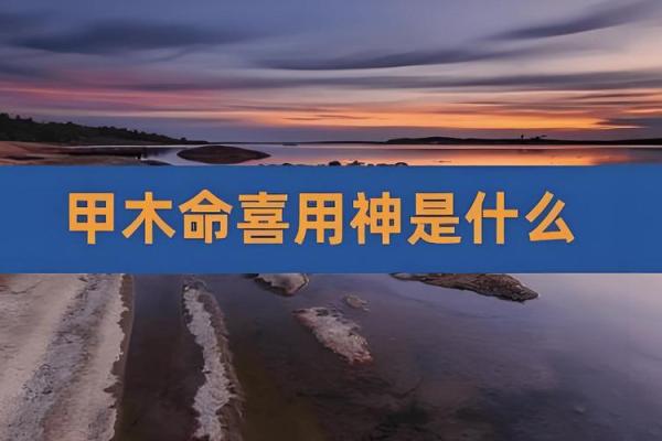 2011年木命的独特魅力与人生启示 2011年木命的独特魅力与人生启示