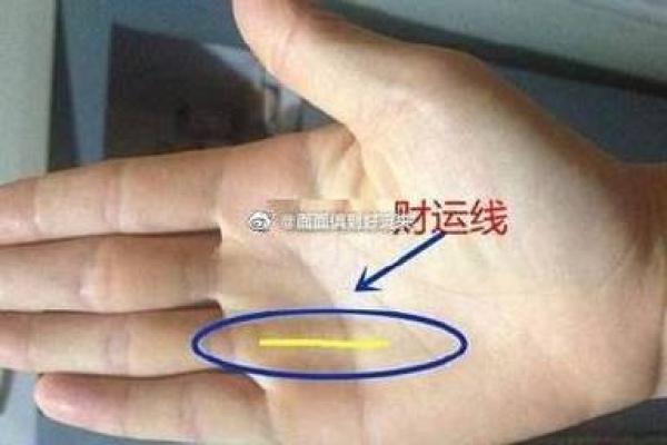 手指短粗男人的命运解析：这背后藏着什么秘密？