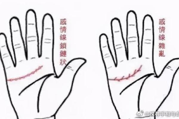 不同手相代表的命运揭示:掌握你的未来与命运之钥 不同手相代表的命运揭示:掌握你的未来与命运之钥