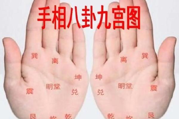 不同手相代表的命运揭示:掌握你的未来与命运之钥 不同手相代表的命运揭示:掌握你的未来与命运之钥