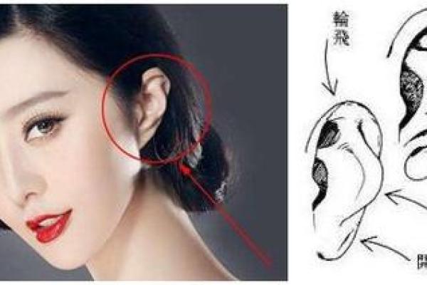 耳上有洞的人命运解析:独特的耳饰与人生轨迹 耳上有洞的人命运解析:独特的耳饰与人生轨迹