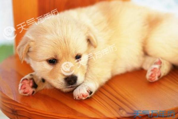 揭秘2018正月29日出生者的命运与性格特征 揭秘2018正月29日出生者的命运与性格特征