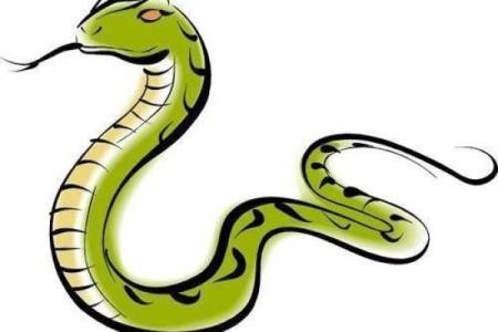 2021年水命者的运势解析：缺失与改善之道