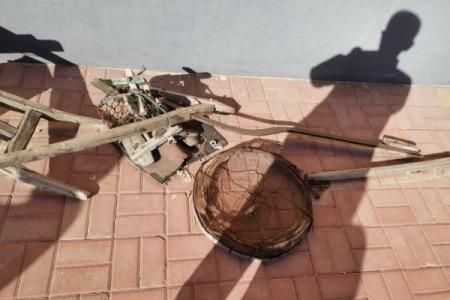 白蜡金命与数字的神秘关系：找到你的幸运数字!