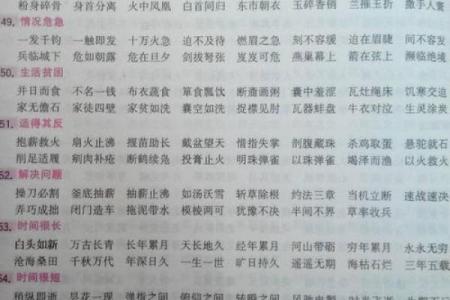 根据什么命什么一人成语的探讨与启示