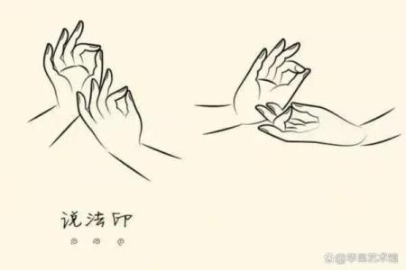 掌纹明显的人命运分析：揭秘你掌心的秘密与人生轨迹