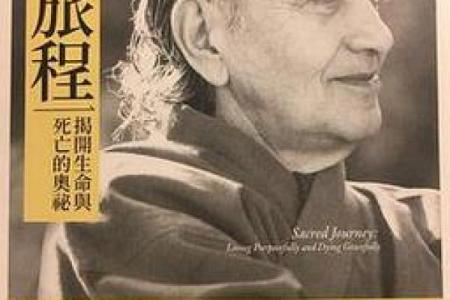 2008年属猪的命运解读：在平凡中绽放光彩的生命旅程