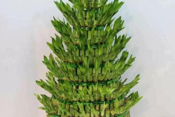 海里金命的植物选择:适合你的养生之道与风水布局 海里金命的植物选择:适合你的养生之道与风水布局