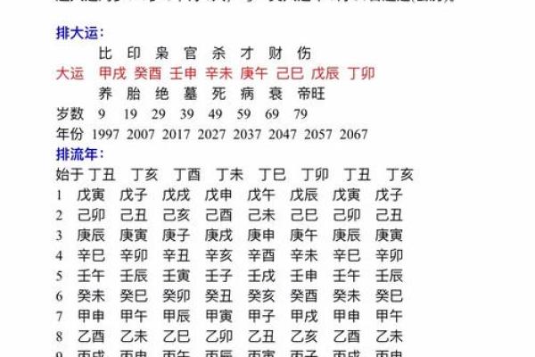 揭秘70年狗年出生者的命格:金命与火命的深刻影响 揭秘70年狗年出生者的命格:金命与火命的深刻影响