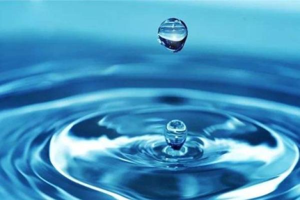 2024年属什么?探寻鼠年命理的奥秘与人生指南 2024年属什么?探寻鼠年命理的奥秘与人生指南