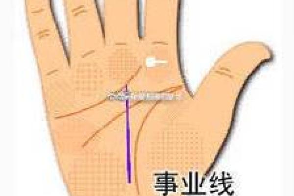 揭示手掌之谜:掌纹与命运的奇妙关系 揭示手掌之谜:掌纹与命运的奇妙关系