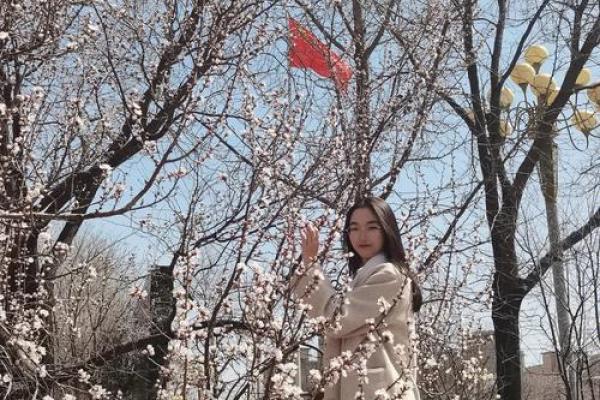 春天出生属狗,命运中的温柔与坚韧探秘 春天出生属狗,命运中的温柔与坚韧探秘