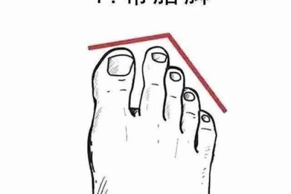 根据什么的脚形就有什么命——探寻脚形与性格命运的奥秘 根据什么的脚形就有什么命——探寻脚形与性格命运的奥秘