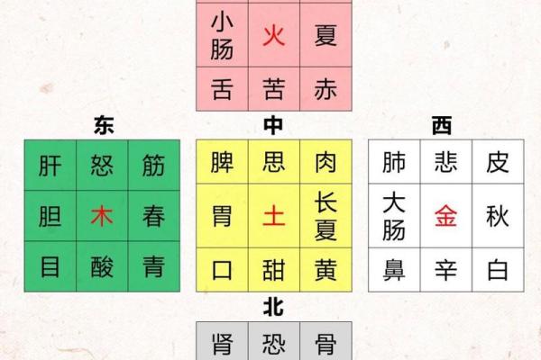 解析木命人士的五行缺失及如何补救的智慧之道 解析木命人士的五行缺失及如何补救的智慧之道