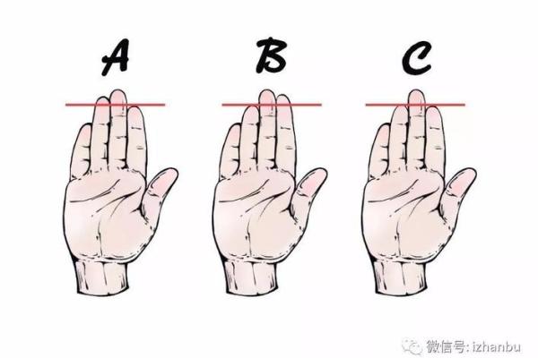 根据形状塑造命格：如何理解生命的轮廓与命运的交织