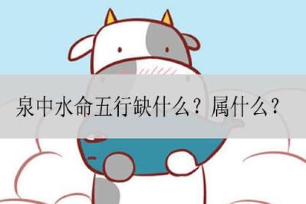 水命之人：如何通过颜色调和运势与生活