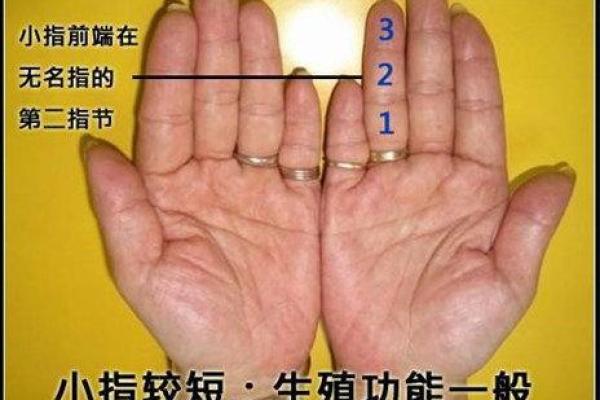 揭秘婚姻不合的命理原因与解决之道 揭秘婚姻不合的命理原因与解决之道