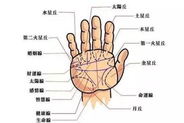 看手相揭示女孩幸福命,掌握这些特征让你更自信! 看手相揭示女孩幸福命,掌握这些特征让你更自信!