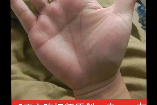揭秘女性左右断掌的命运:或许命运就在掌中! 揭秘女性左右断掌的命运:或许命运就在掌中!