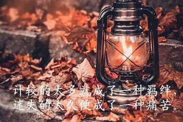 命主忧伤与妻子的羁绊:爱的陪伴与心灵的庇护 命主忧伤与妻子的羁绊:爱的陪伴与心灵的庇护