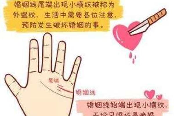 右手相姻缘:探索命运与爱情的神秘联系 右手相姻缘:探索命运与爱情的神秘联系