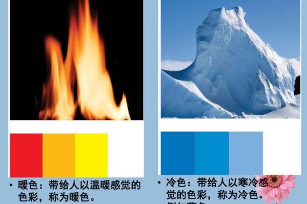火牛命的适合颜色解析:如何选择让你更具魅力的色彩 火牛命的适合颜色解析:如何选择让你更具魅力的色彩