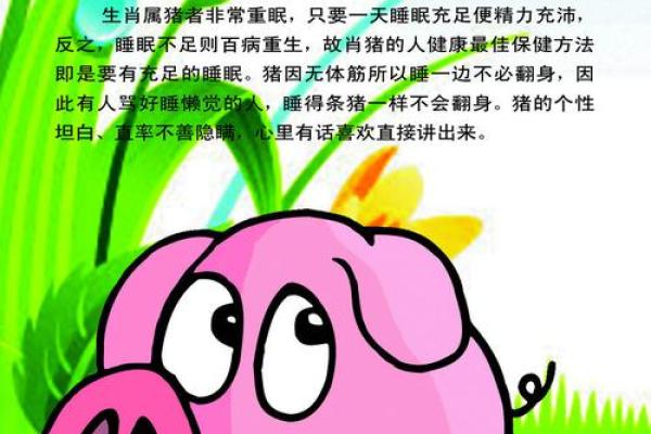 探索2月4日出生者的命运与特点,揭示生肖的秘密! 探索2月4日出生者的命运与特点,揭示生肖的秘密!