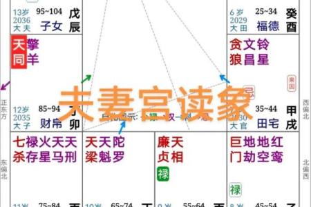 命理相合：解析命与命之间的和谐与冲突